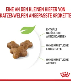 ROYAL CANIN® Trockenfutter für Katzen Kitten