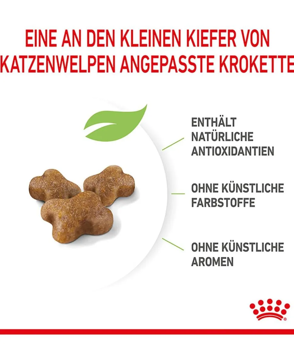 ROYAL CANIN® Trockenfutter für Katzen Kitten