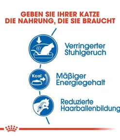 ROYAL CANIN® Trockenfutter für Katzen Indoor