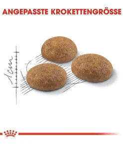 ROYAL CANIN® Trockenfutter für Katzen Outdoor