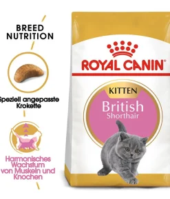 ROYAL CANIN® Trockenfutter für Katzen British Shorthair Kitten