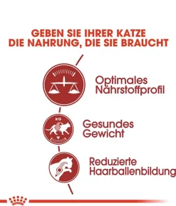 ROYAL CANIN® Trockenfutter für Katzen Fit