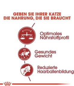 ROYAL CANIN® Trockenfutter für Katzen Fit