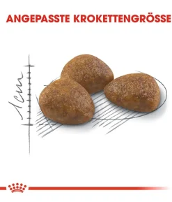 ROYAL CANIN® Trockenfutter für Katzen Outdoor 7+