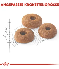 ROYAL CANIN® Trockenfutter für Katzen Fit