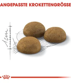 ROYAL CANIN® Trockenfutter für Katzen Indoor Long Hair