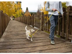 RUFFWEAR® Hundegeschirr Flagline Harness 2.0