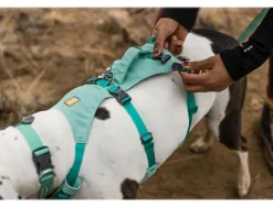 RUFFWEAR® Hundegeschirr Flagline Harness 2.0