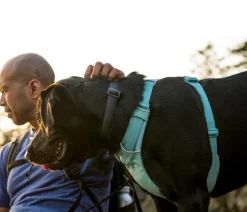 RUFFWEAR® Hundegeschirr Front Range®