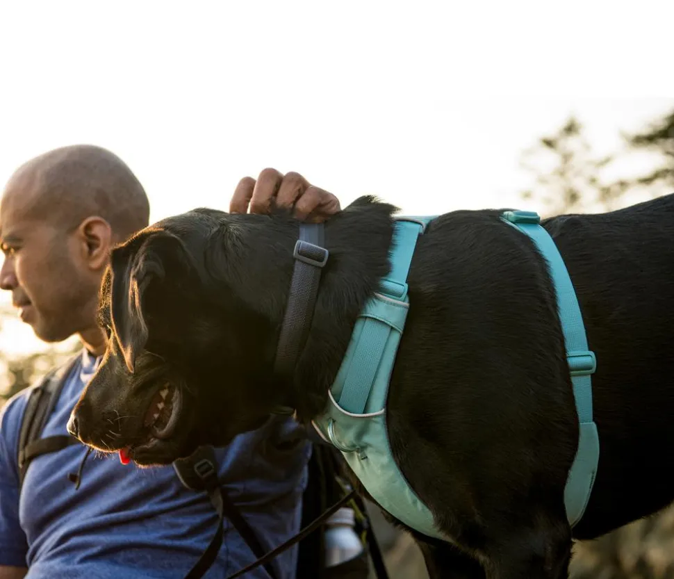 RUFFWEAR® Hundegeschirr Front Range®
