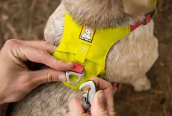 RUFFWEAR® Hundegeschirr Hi & Light™ Harness 2.0
