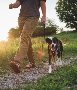 RUFFWEAR® Hundegeschirr Hi & Light™ Harness 2.0