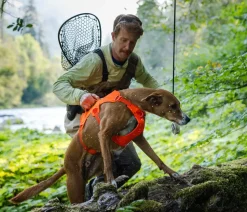 RUFFWEAR® Hundegeschirr Web Master™
