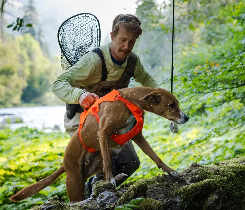 RUFFWEAR® Hundegeschirr Web Master™