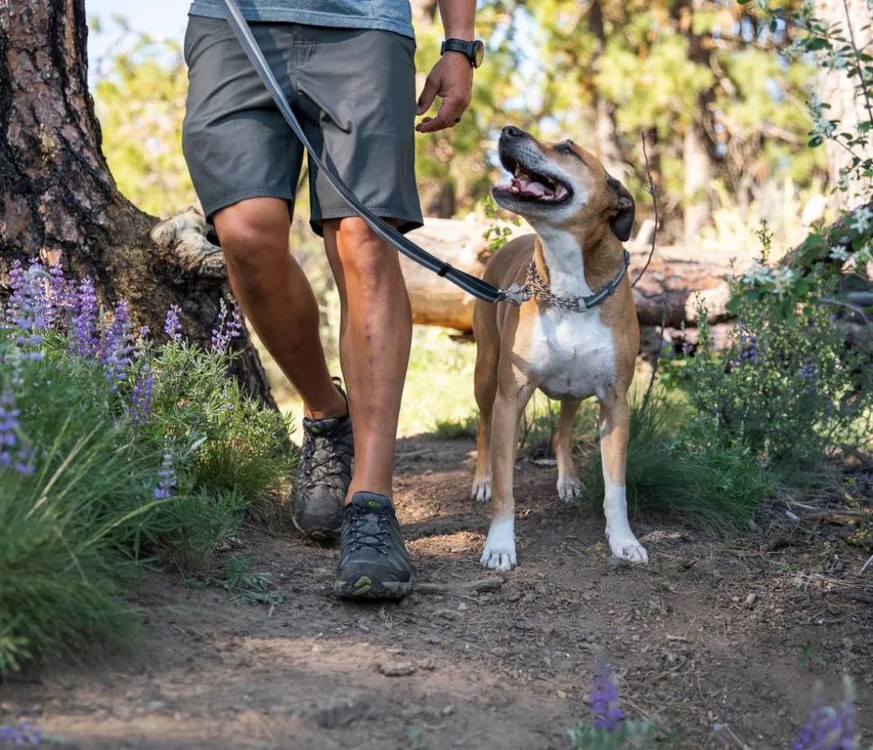 RUFFWEAR® Hundehalsband Chain Reaction™