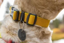 RUFFWEAR® Hundehalsband Hi & Light™ Collar
