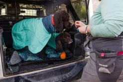 RUFFWEAR® Hunde-Handtuchmantel Dirtbag™ Aurora Teal