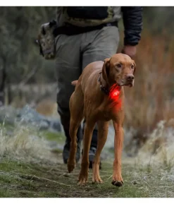 RUFFWEAR® Hunde-Sicherheitsleuchte THE BEACON™