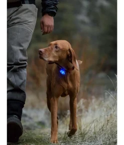 RUFFWEAR® Hunde-Sicherheitsleuchte THE BEACON™
