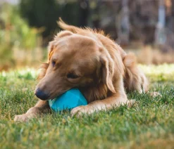 RUFFWEAR® Hundespielzeug Gnawt-a-Rock™, ca. Ø11,5 cm