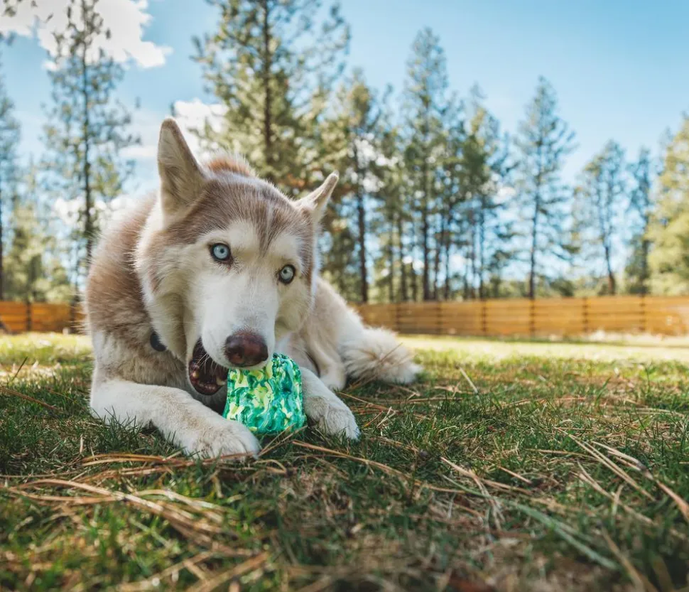 RUFFWEAR® Hundespielzeug Morel™