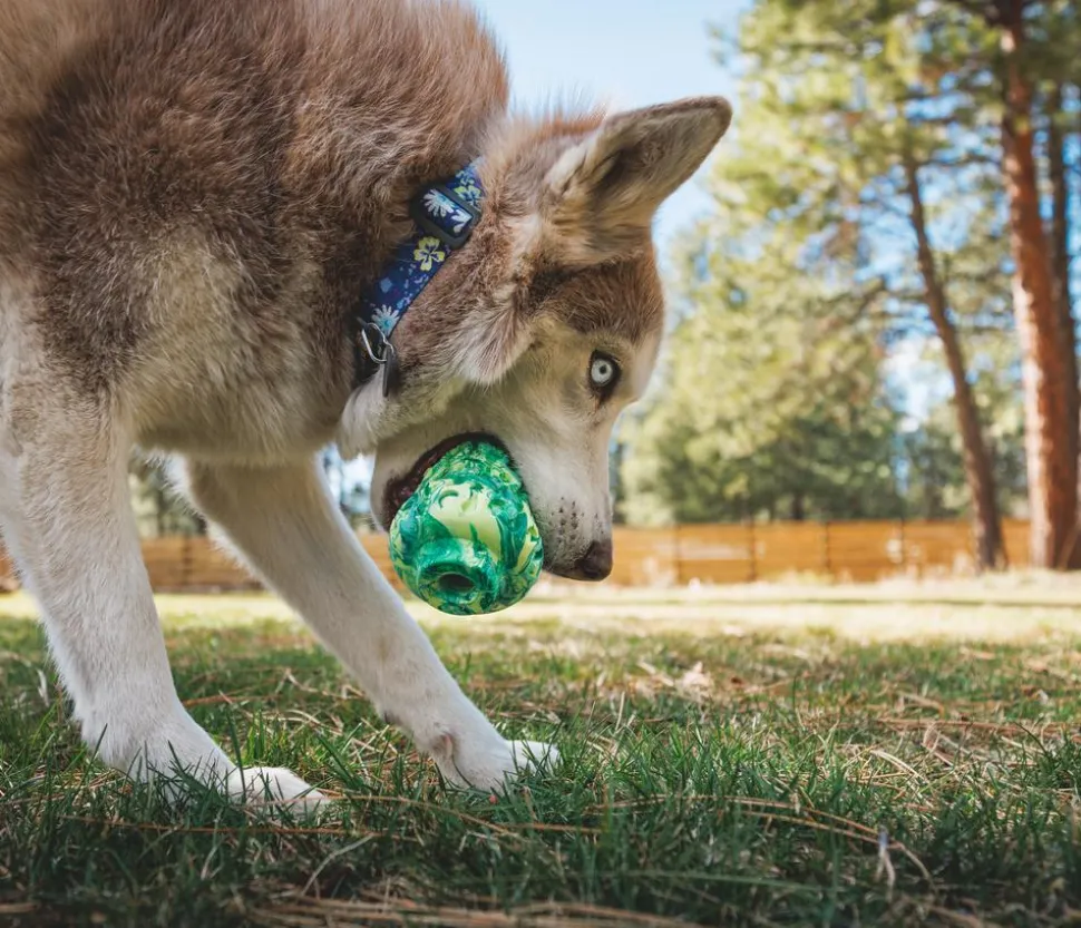 RUFFWEAR® Hundespielzeug Morel™