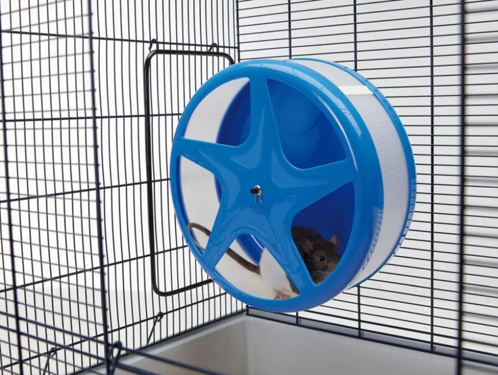 Savic Nager-Laufrad Orbital, blau, ca. Ø28 cm