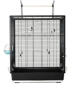 SAVIC Vogelheim Primo 60 open Empire