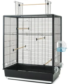 SAVIC Vogelheim Primo 60 open Empire