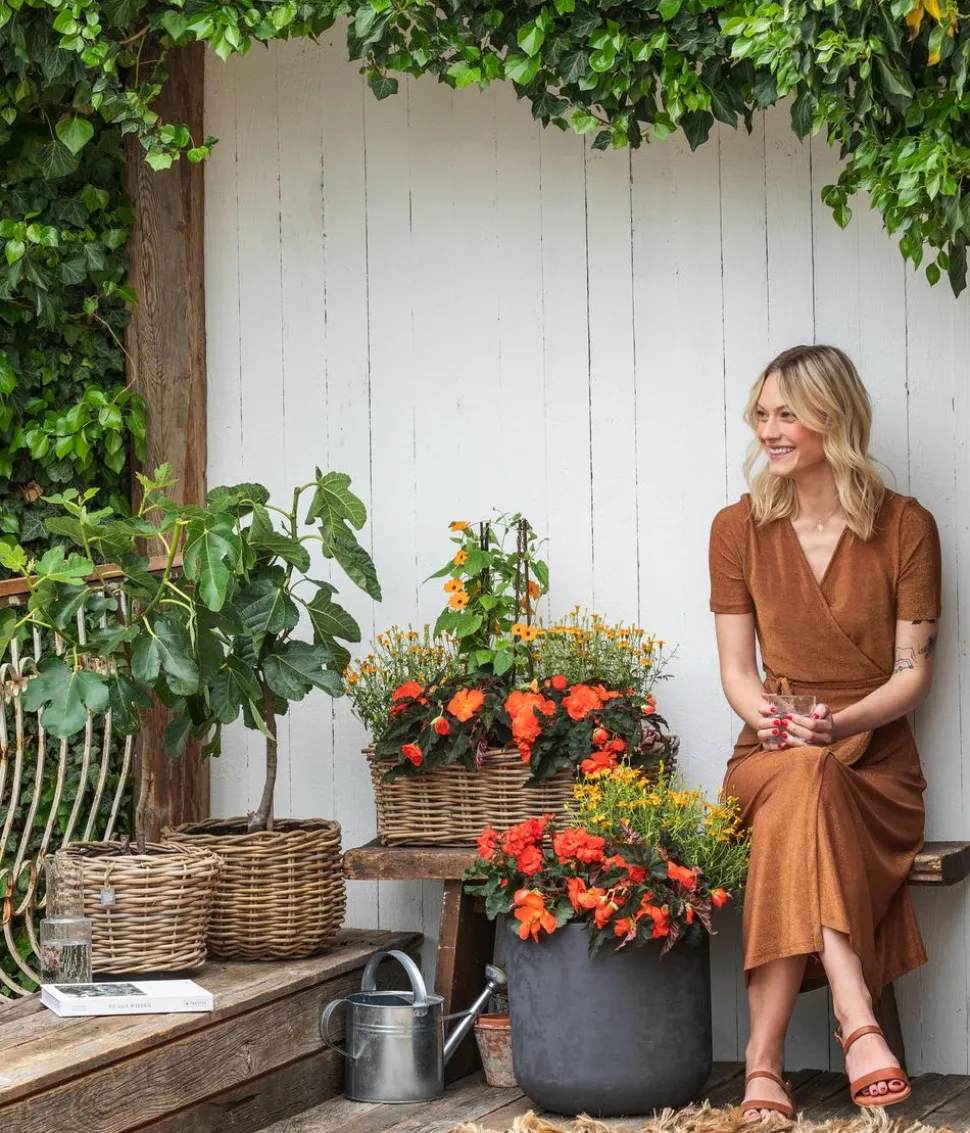 Schwarzäugige Susanne