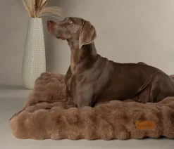 Scruffs Hundematratze Alpine Matress