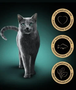 Sheba® Nassfutter für Katzen Delikatesse in Gelee, Thunfisch, 28 x 85 g