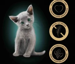 Sheba® Nassfutter für Katzen in Sauce Multipack Kitten, Feine Vielfalt, 40 x 85 g