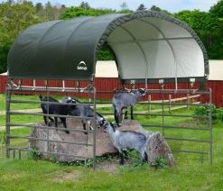Shelter Logic Pferdestallüberdachung, ca. B370/H160/T370 cm