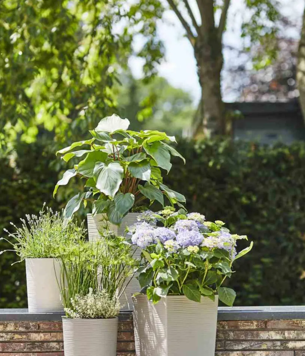 Siena Garden Kunststoff-Topf ECO Nizza, konisch, ca. B25/H46,5/T25 cm