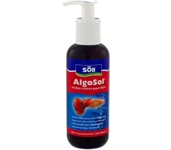 Söll AlgoSol