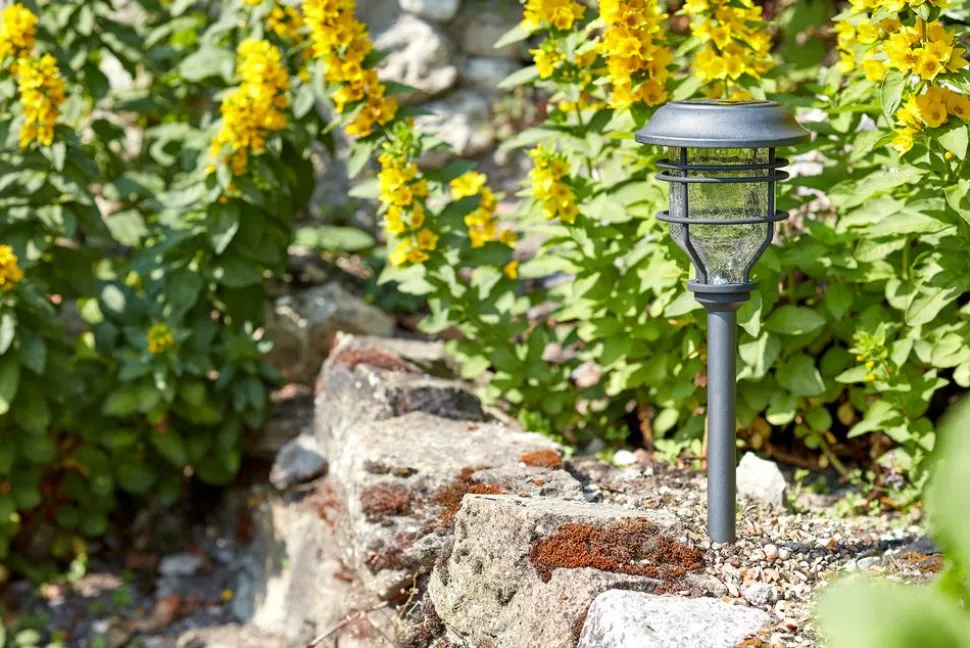 Smart Garden Pfahlleuchte Capri, ca. B14/H48,5/T14 cm