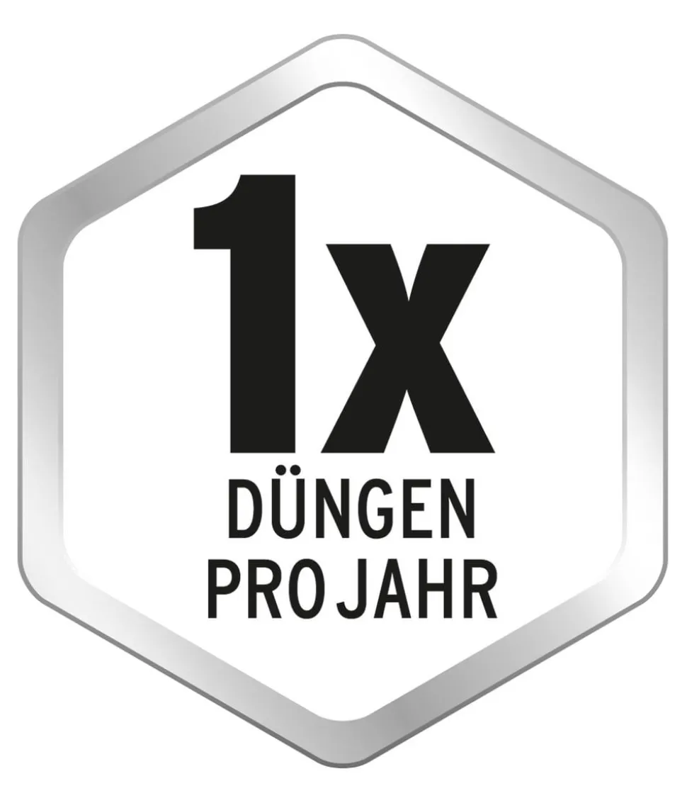 Substral® Langzeit-Depotdünger für Rhododendren & Hortensien, 1,5 kg