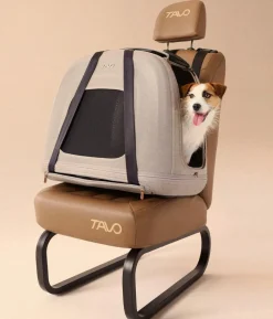 Tavo Transportbox Crispin
