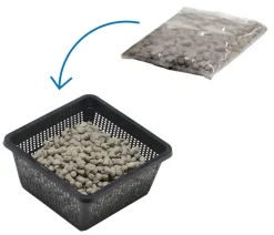 Teichpflanzen Komplett-Set Scheinanemone, 5-teilig