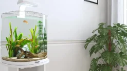Tetra AquaArt LED Explorer-Line Crayfish, weiß, 30 l