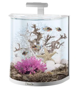 Tetra AquaArt Set LED Explorer-Line, weiß, 60 l