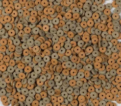 Tetra Fischfutter FunTips Tablets