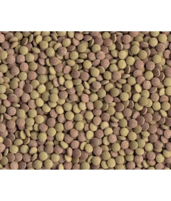 Tetra Fischfutter Tablets TabiMin