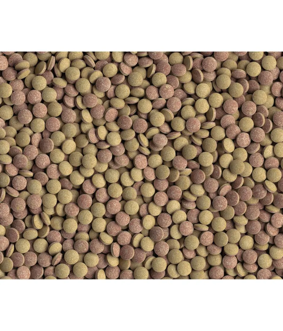 Tetra Fischfutter Tablets TabiMin