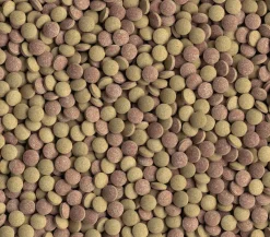 Tetra Fischfutter Tablets TabiMin