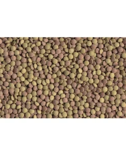 Tetra Fischfutter Tablets TabiMin