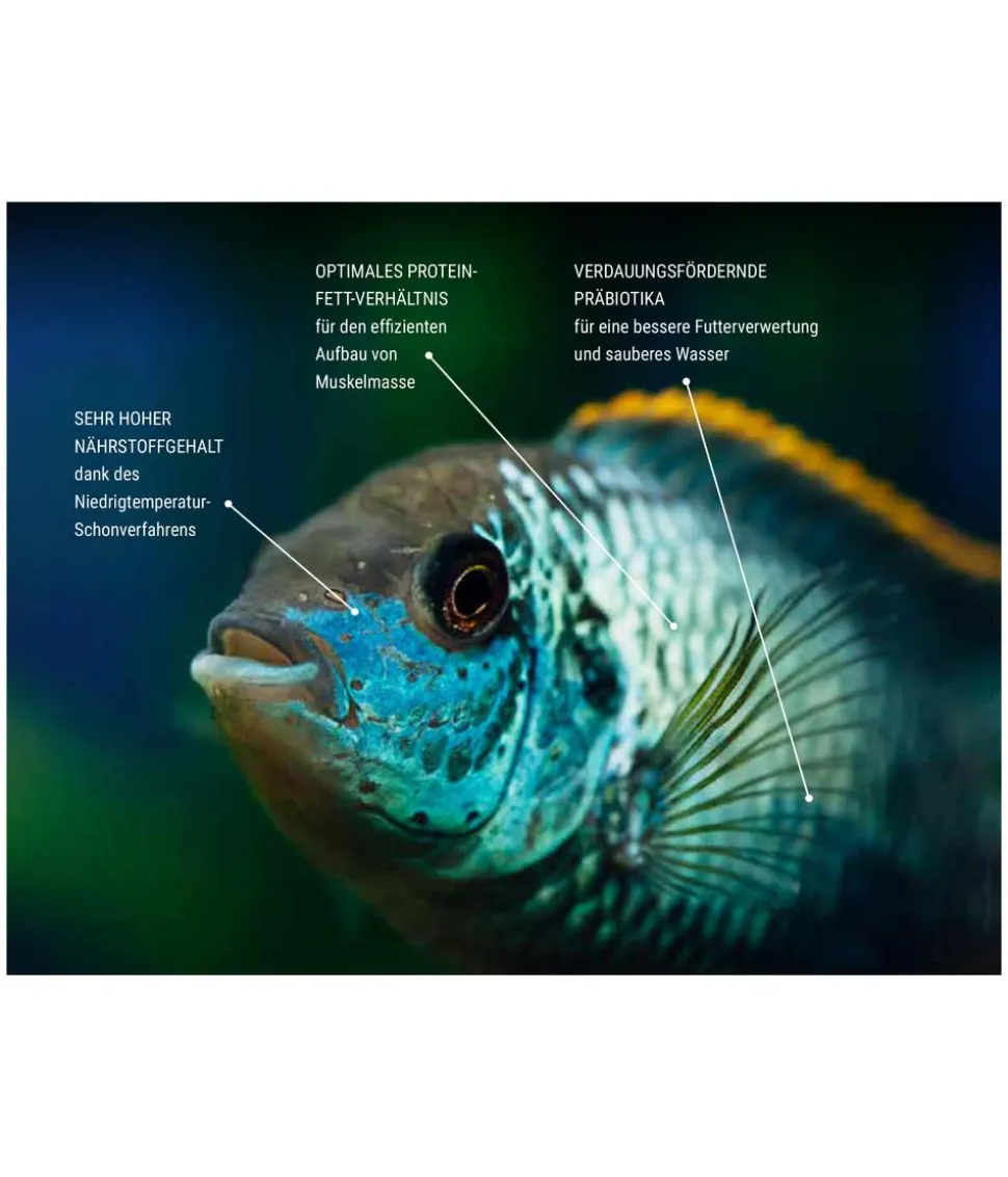Tetra Fischfutter TetraPro Colour Multi-Crisps