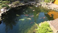 Tetra Pond Sticks, Fischfutter