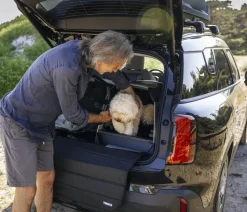 THULE® Allax threshold compatible L Compact Hundetransportbox für Fahrzeuge mit Ladekante, ca. B69/H70/T87-93 cm